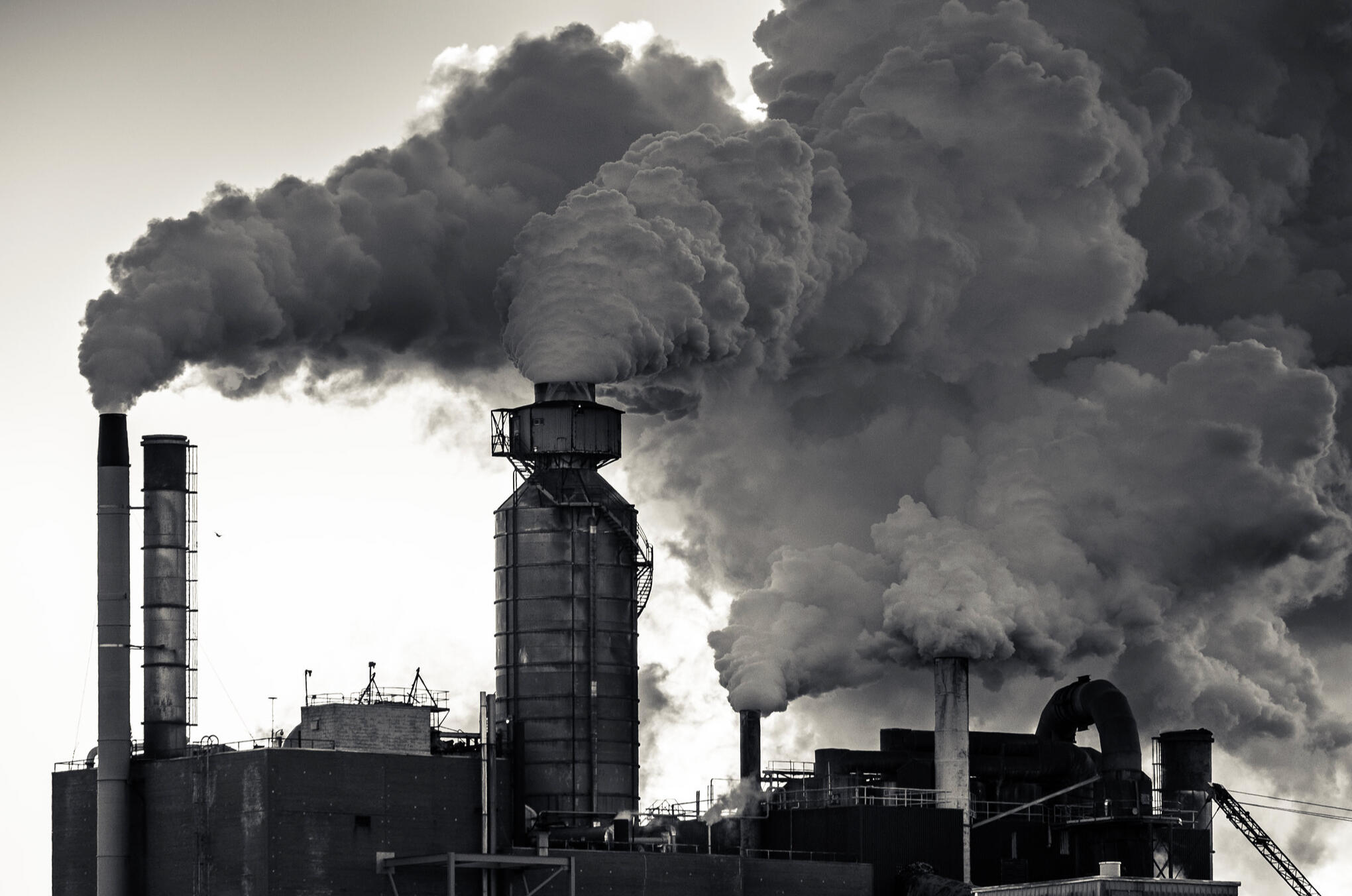 Northern Pulp Mill at Abercrombie, Pictou County, Nova Scotia